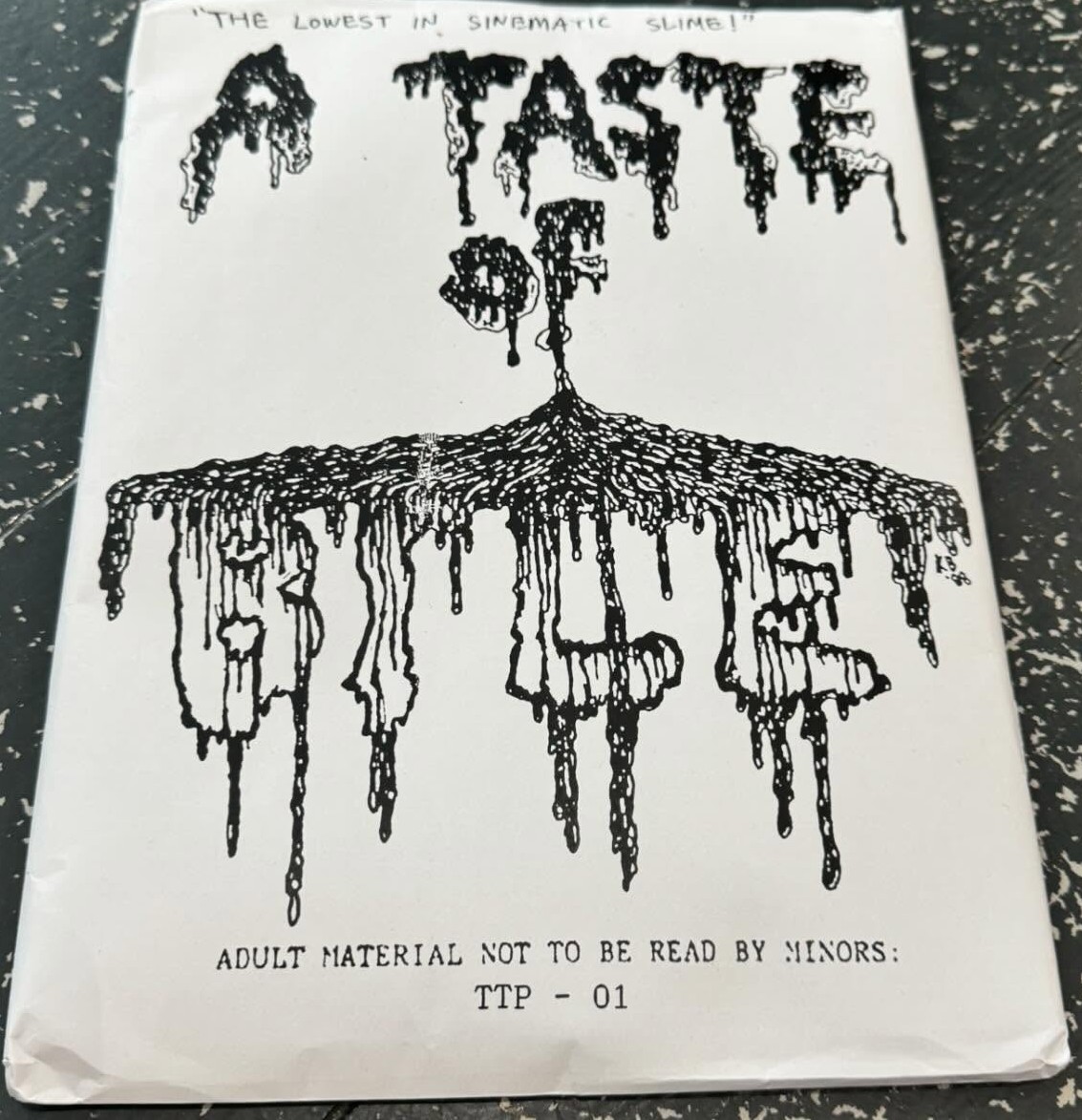A TASTE OF BILE magazine side cover Issue 1  