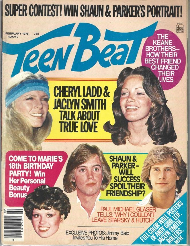 TEEN BEAT magazine side cover  February 1978