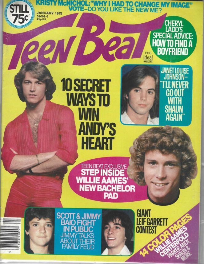 TEEN BEAT magazine side cover  January 1979