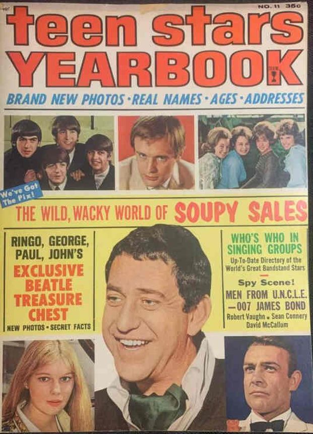 TEEN STARS YEARBOOK magazine side cover Issue 11  1965