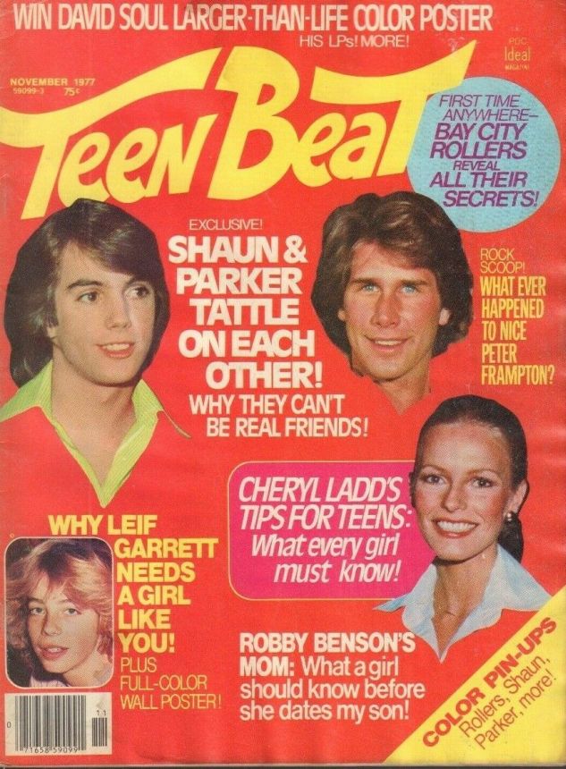 TEEN BEAT magazine side cover November 1977