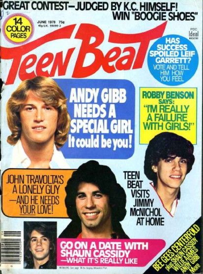 TEEN BEAT magazine side cover June 1978