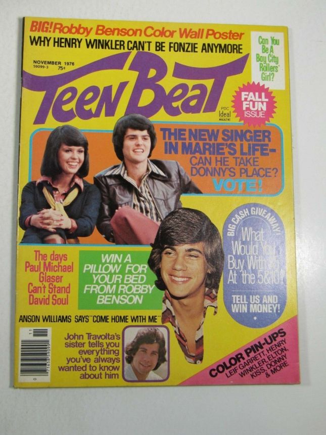 TEEN BEAT magazine side cover  November 1976