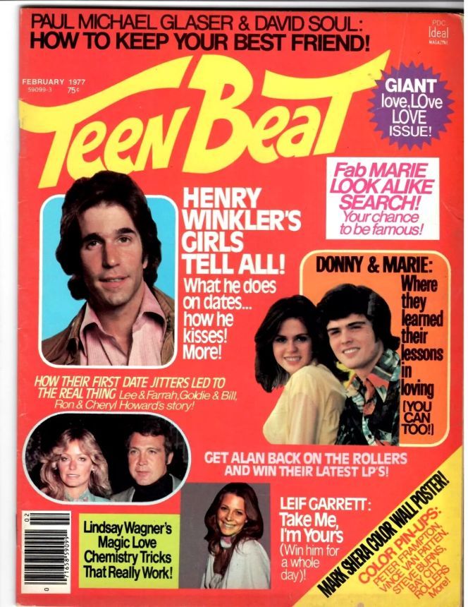 TEEN BEAT magazine side cover  February 1977