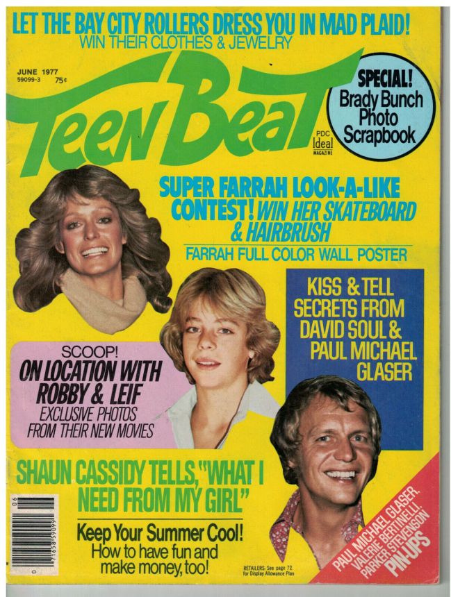TEEN BEAT magazine side cover  June 1977