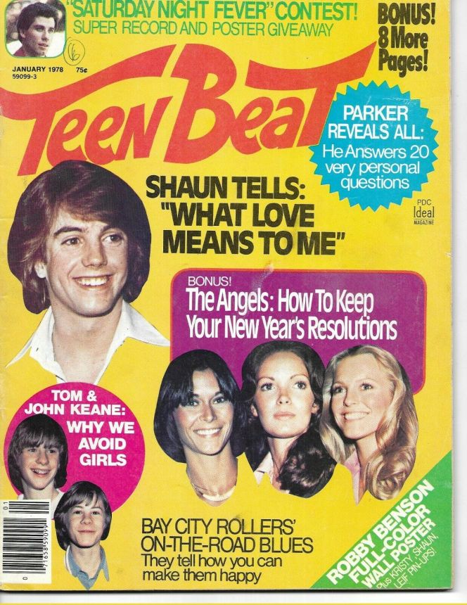 TEEN BEAT magazine side cover  January 1978