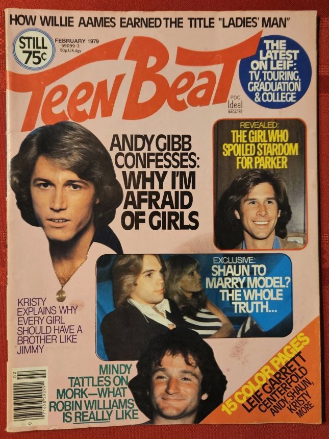 TEEN BEAT magazine side cover  February 1979