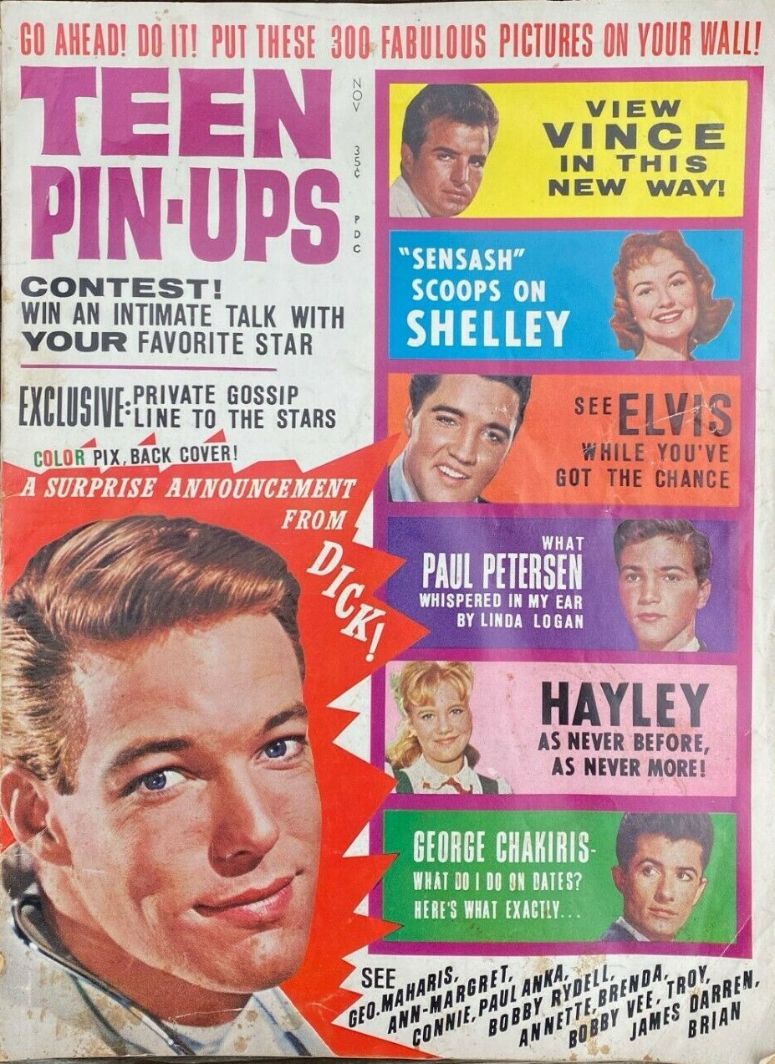 TEEN PIN-UPS magazine side cover  November 1963