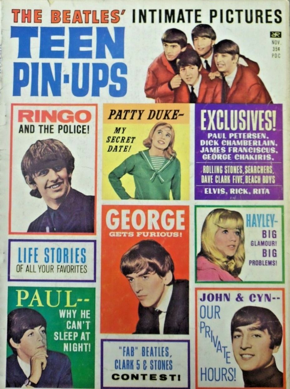 TEEN PIN-UPS magazine side cover  Vol 3 No  5  November 1964