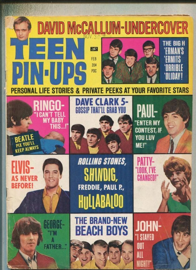TEEN PIN-UPS magazine side cover  February 1966