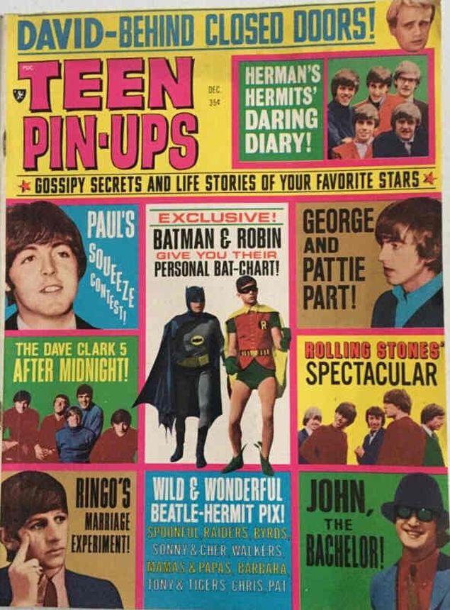 TEEN PIN-UPS magazine side cover  December 1966