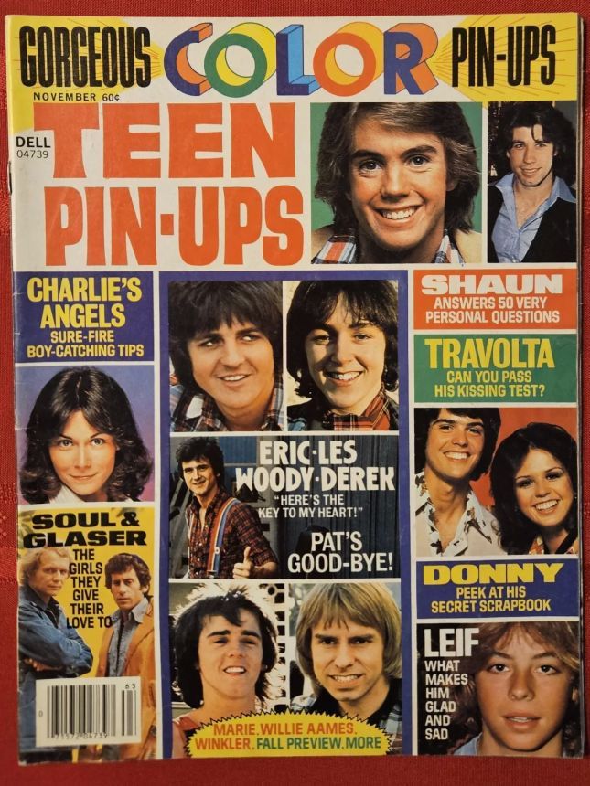 TEEN PIN-UPS magazine side cover  November 1977