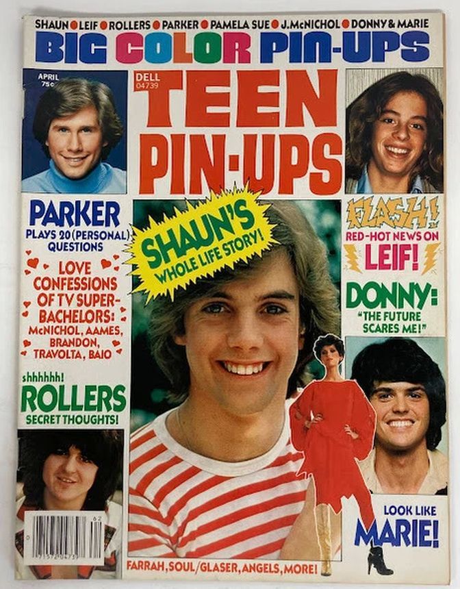 TEEN PIN-UPS magazine side cover  April 1978