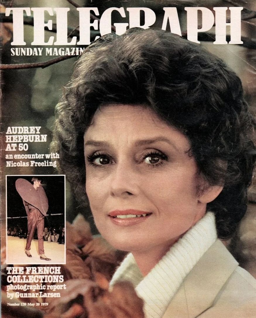 DAILY TELEGRAPH MAGAZINE magazine side cover Issue 139 20 May 1979