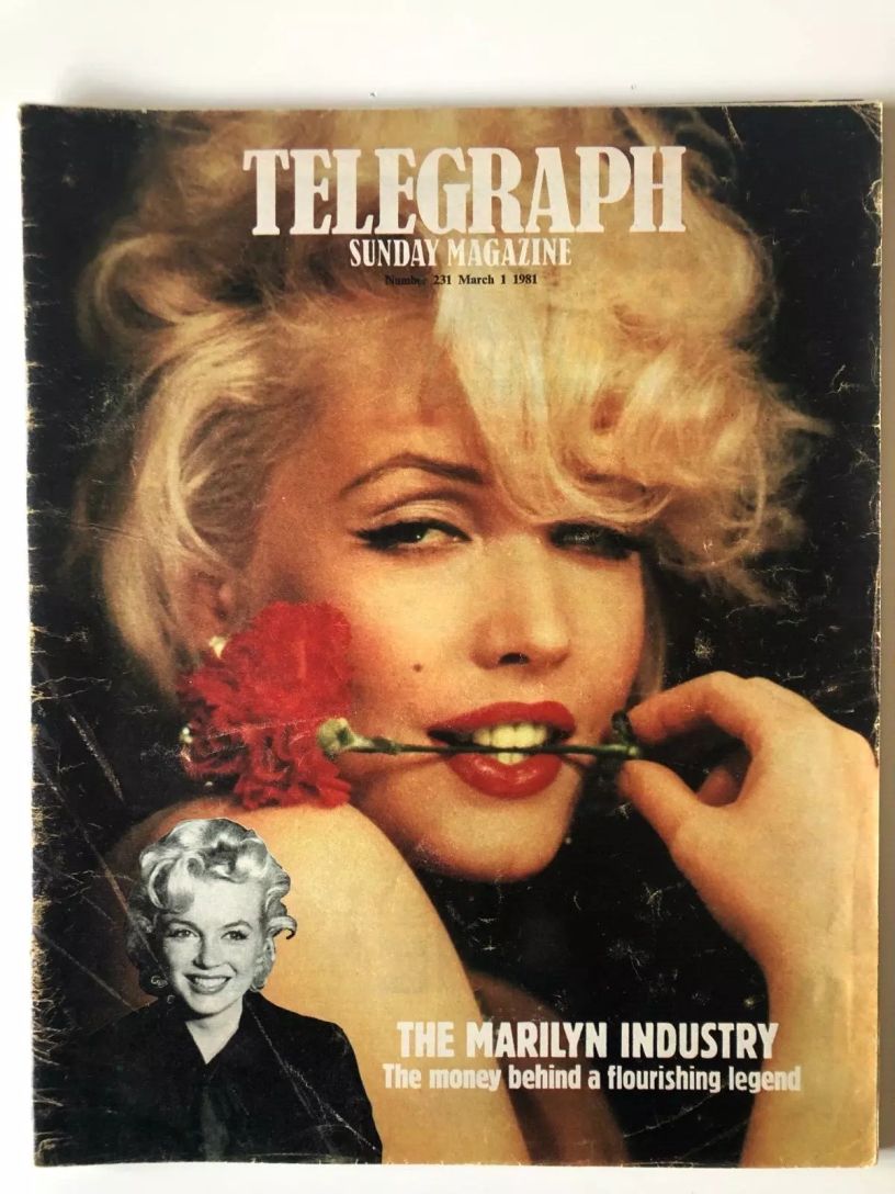 DAILY TELEGRAPH MAGAZINE magazine side cover Issue 231 1 March 1981