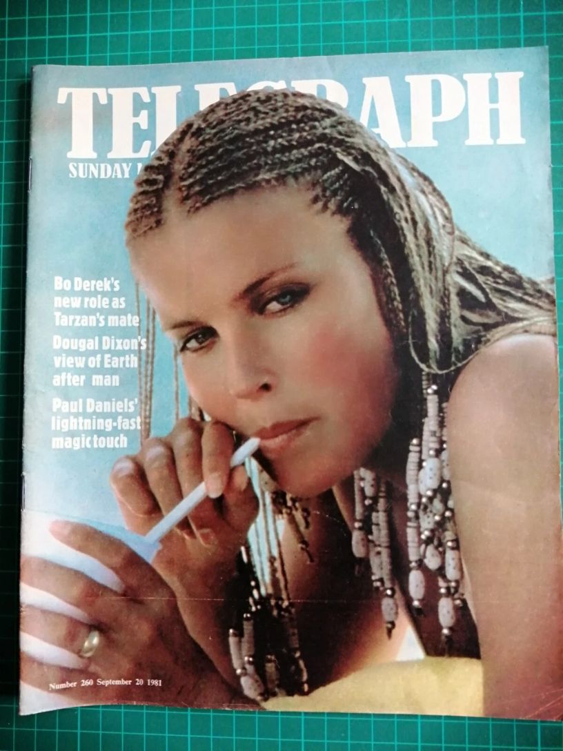 DAILY TELEGRAPH MAGAZINE magazine side cover Issue 260 20 September 1981