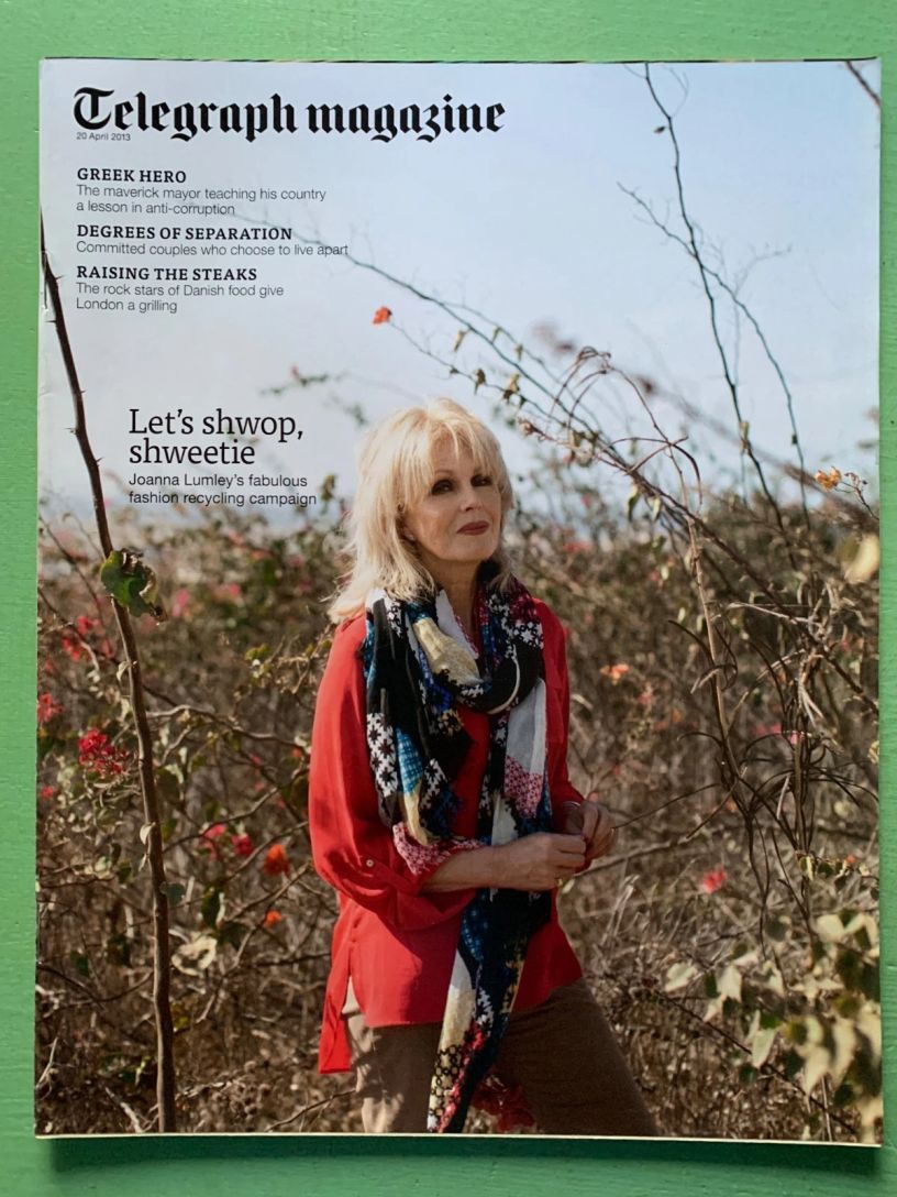 DAILY TELEGRAPH MAGAZINE magazine side cover 20 April 2013