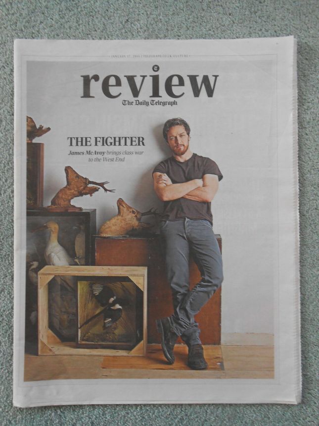 DAILY TELEGRAPH REVIEW magazine side cover 17 January 2015