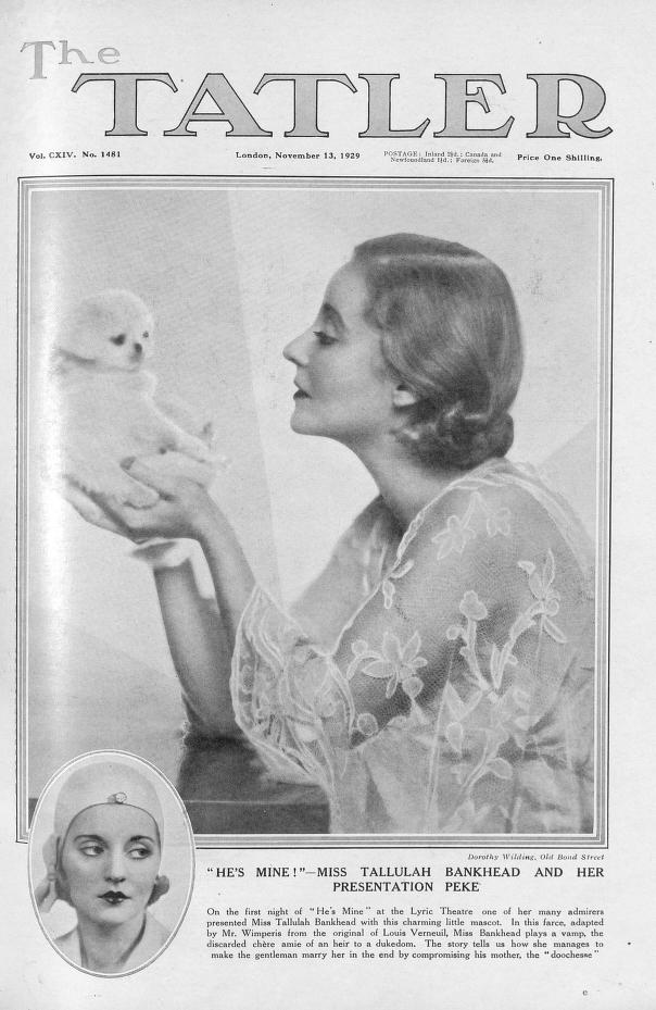 TATLER magazine side cover  Vol 114 No  1481 13 November 1929