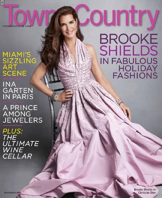 TOWN AND COUNTRY magazine side cover  November 2008