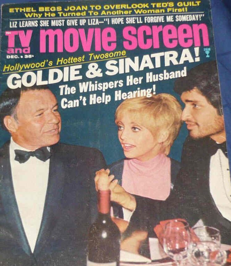 TV AND MOVIE SCREEN magazine side cover December 1969