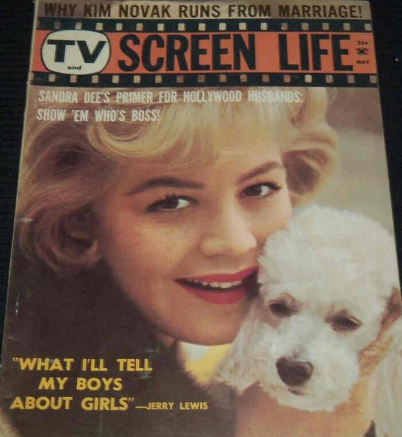TV AND SCREEN LIFE magazine side cover May 1961