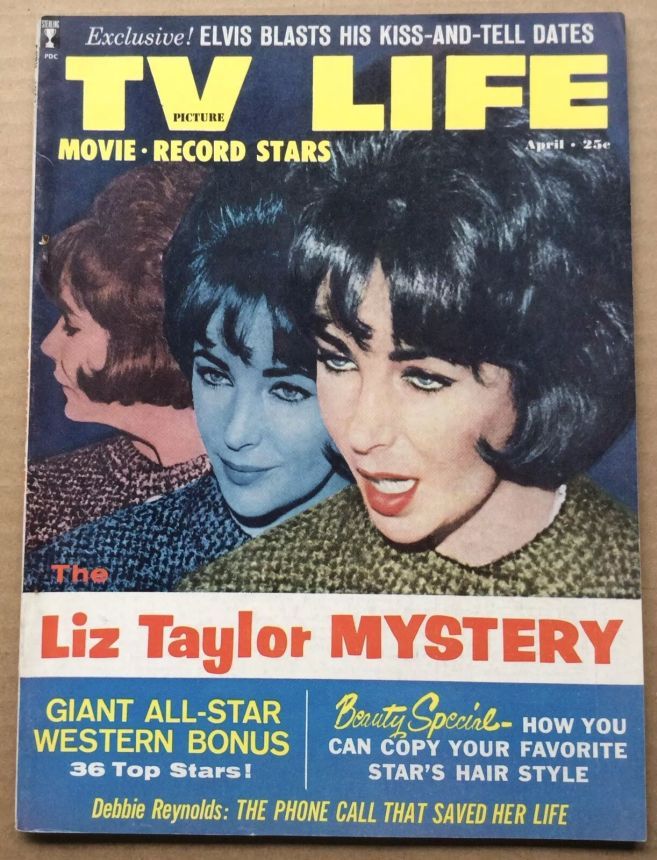 TV PICTURE LIFE magazine side cover April 1961