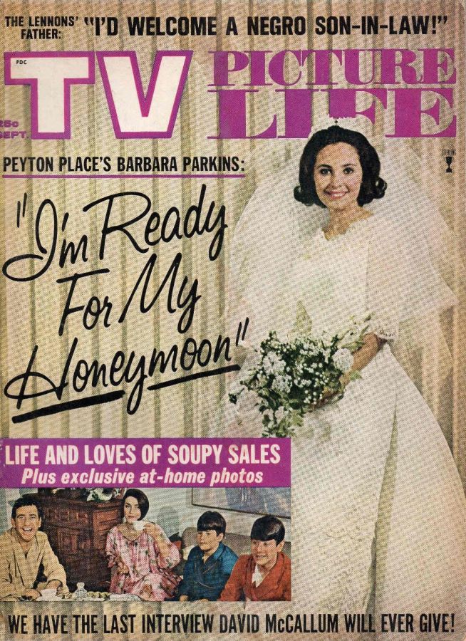 TV PICTURE LIFE magazine side cover September 1965