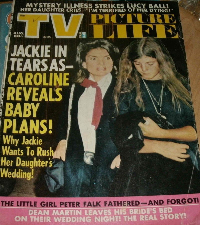 TV PICTURE LIFE magazine side cover August 1973