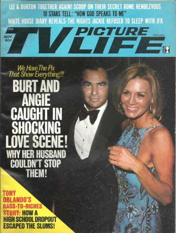 TV PICTURE LIFE magazine side cover November 1975