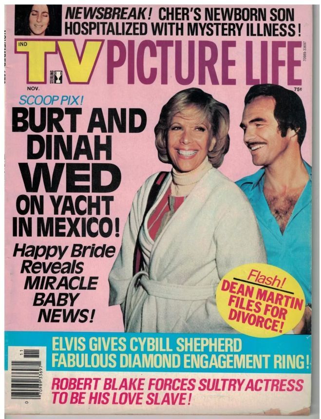 TV PICTURE LIFE magazine side cover November 1976