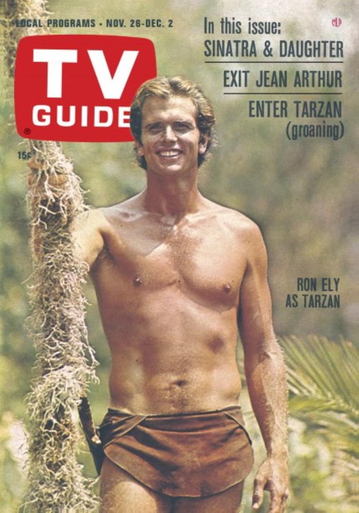 TV GUIDE USA magazine side cover Issue 713 26 November 1966