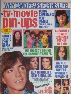 TV MOVIE PIN-UPS magazine side cover  November 1971