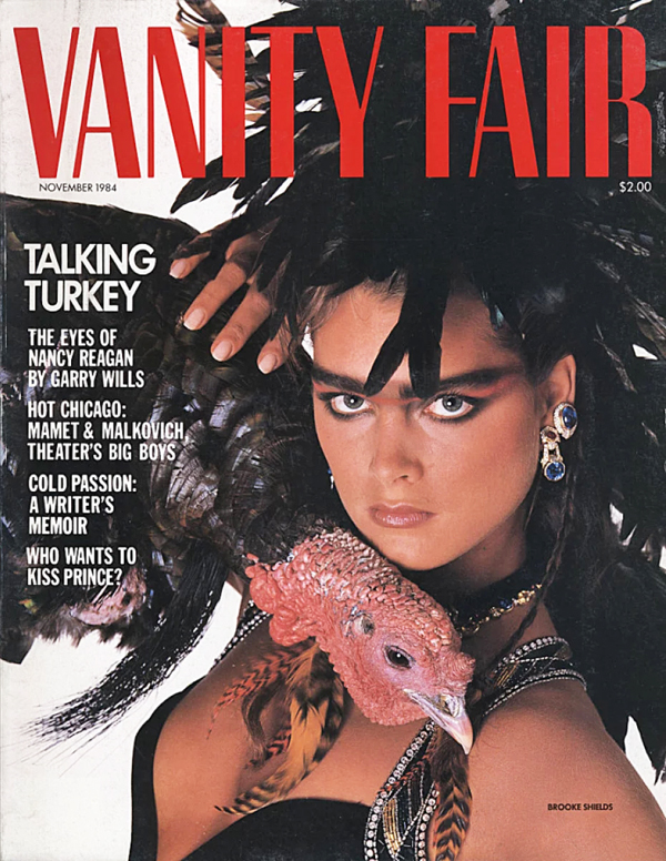 VANITY FAIR magazine side cover Issue 291  November 1984