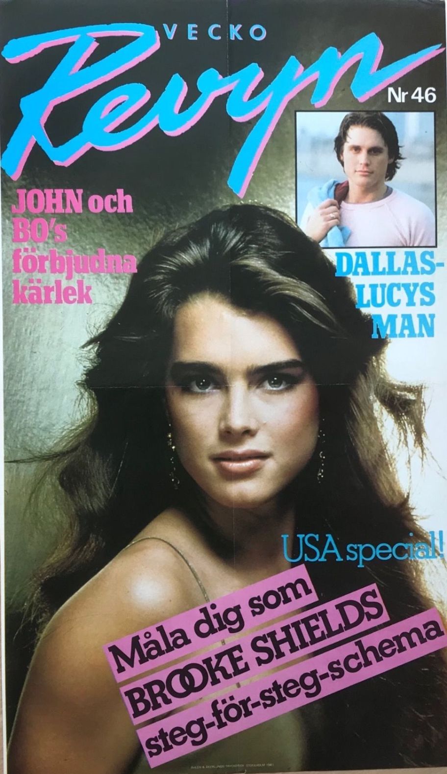 VECKO-REVYN magazine side cover Issue 46   1981