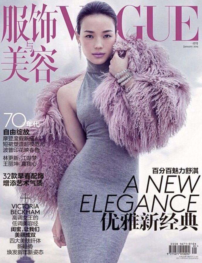 VOGUE CHINA magazine side cover  January 2015