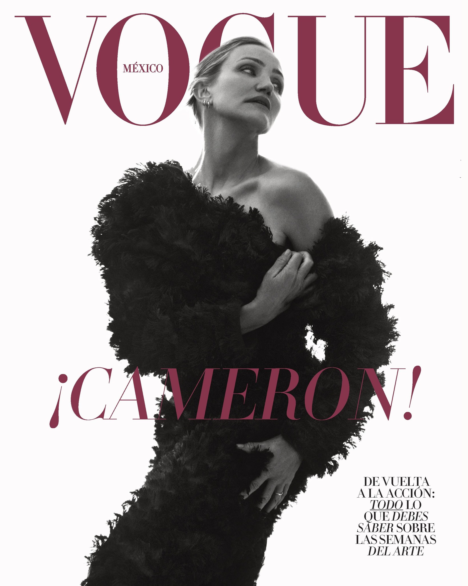 VOGUE MEXICO magazine side cover  February 2025