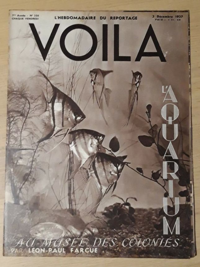 VOILA magazine side cover Issue 350 3 December 1937