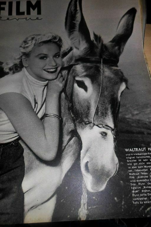 WIENER FILM REVUE magazine side cover Issue 15   1953