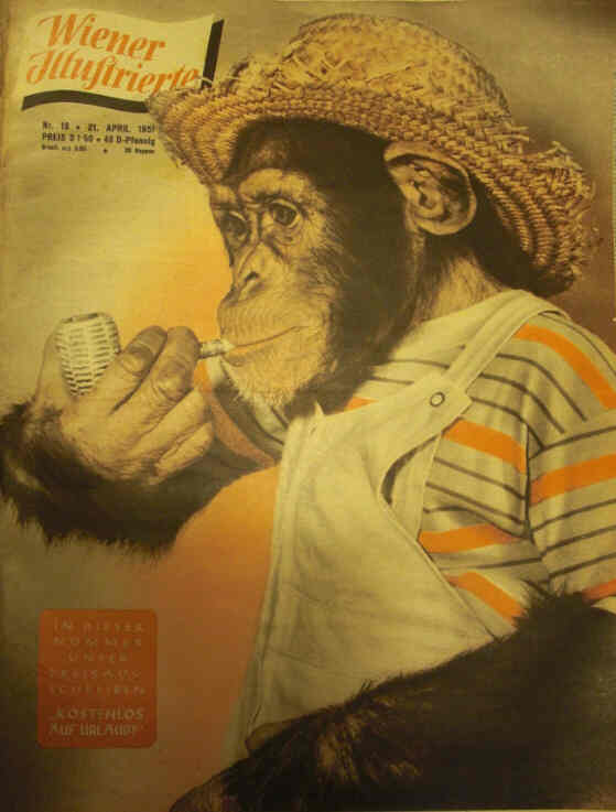 WIENER ILLUSTRIERTE magazine side cover 21 April 1951