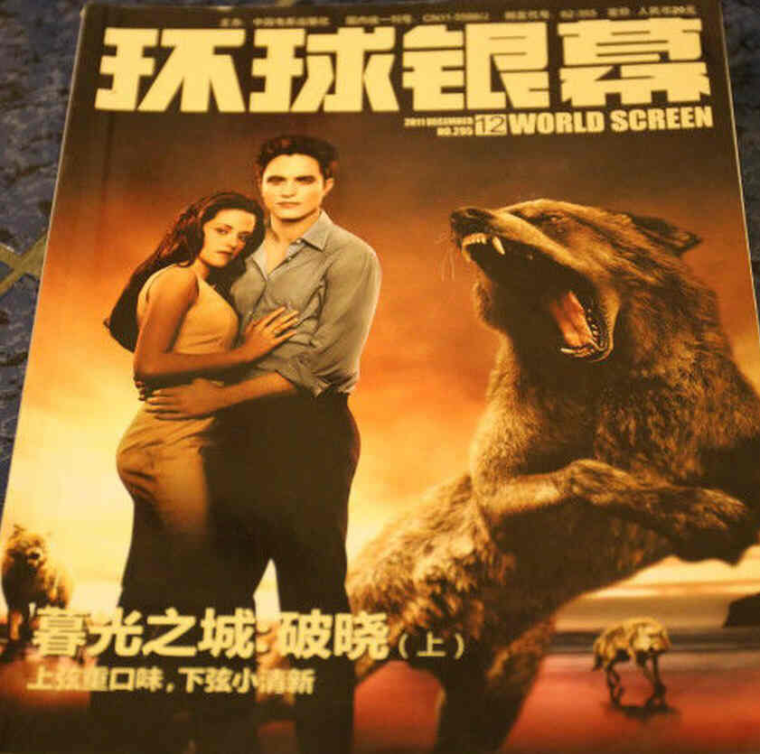 WORLD SCREEN (Ch) magazine side cover  December 2011