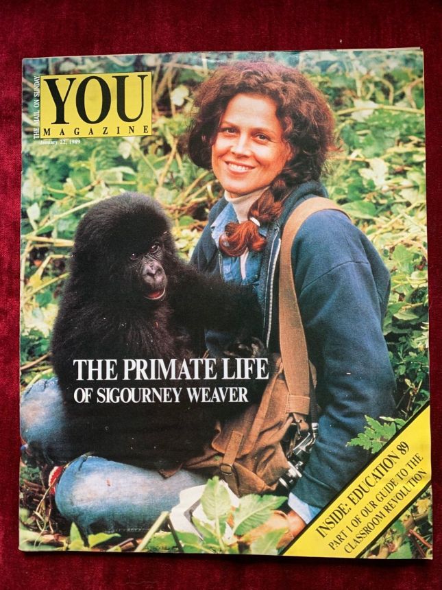 YOU magazine side cover 22 January 1989